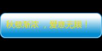 秋意渐浓 ，爱意无限！《阴阳师》「为崽应援·秋枫之狩」优胜赛现已开启
 ！