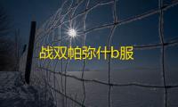 战双帕弥什b服